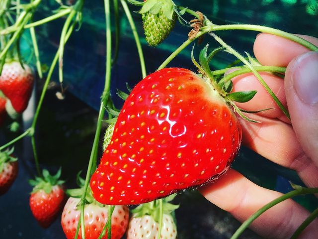 �����Z���������ł����I_�݂΂��t�@�[��