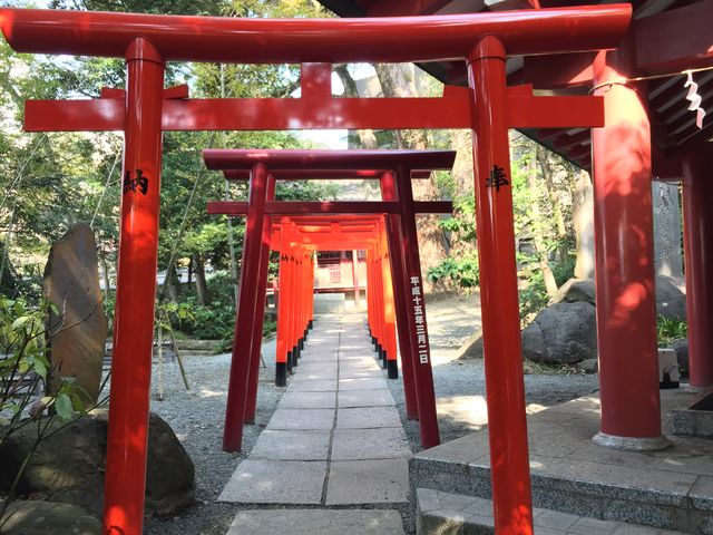 �������ǂ������`_�ҋ{�_��