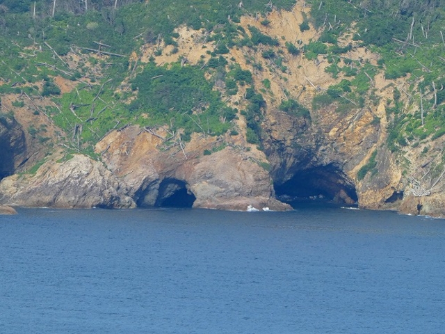 �������E���Õ@_�V��̖��}�����p�[�N���Õ@