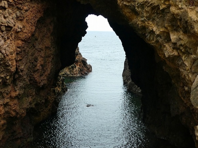 �������E���Õ@_�V��̖��}�����p�[�N���Õ@