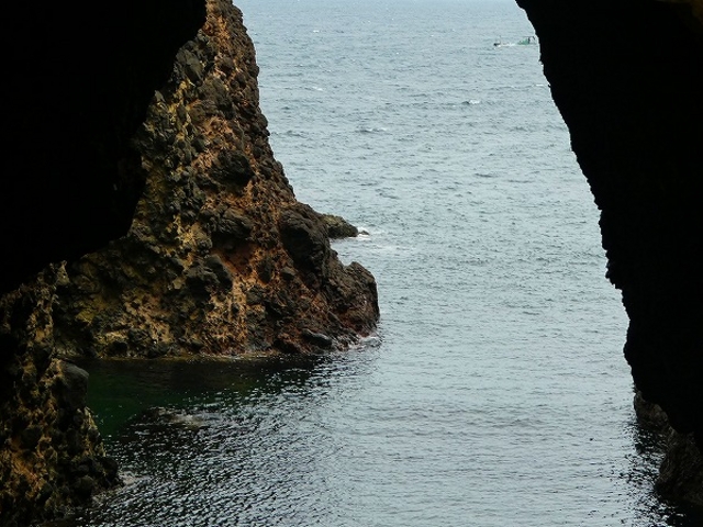 �������E���Õ@_�V��̖��}�����p�[�N���Õ@