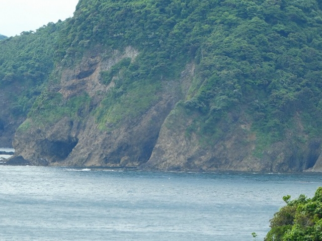 �������E���Õ@_�V��̖��}�����p�[�N���Õ@