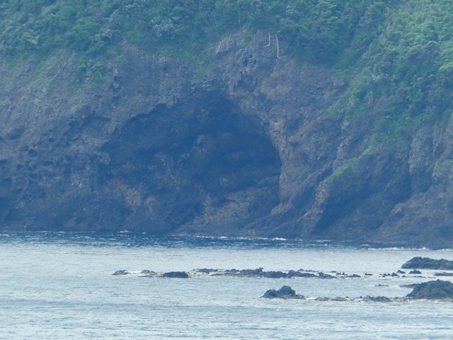 �������E���Õ@_�V��̖��}�����p�[�N���Õ@