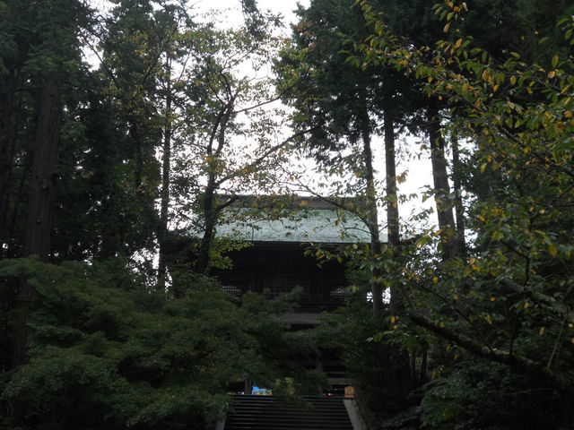 �~�o���R��_�R��i�~�o���j