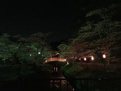 夜はライトアップも 須賀川さくらまつり 翠ケ丘公園 の口コミ じゃらんnet