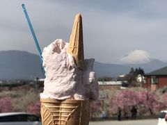 �߂̂�����̂ւ̓��e�ʐ^2