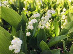 tara̍c삷uˌւ̓eʐ^1