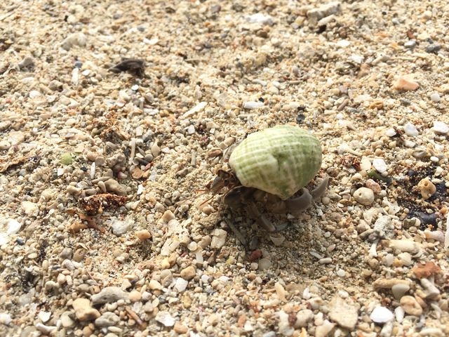 X̊Oő҂Ă鎞ɁAhJ񌩂܂_lӂ̒