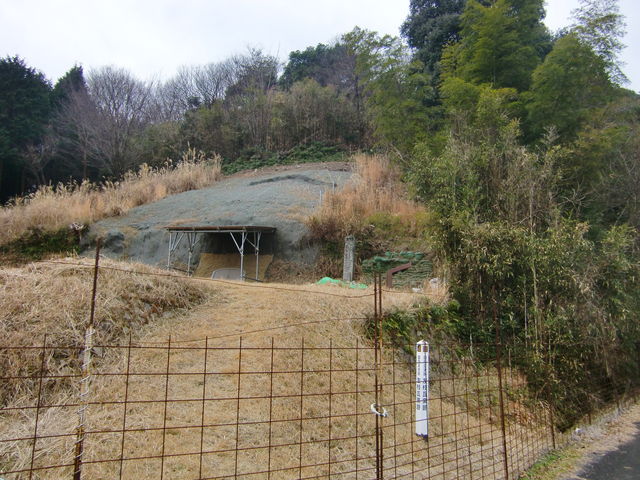 Ԃ񂳂̗F}qՂ̓eʐ^1