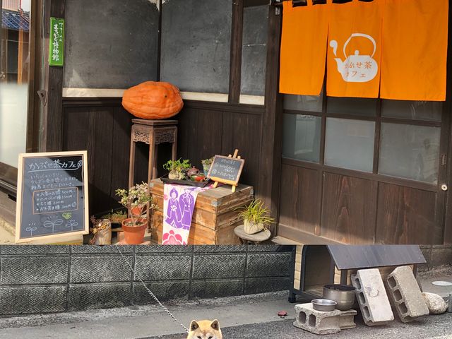 ���X�̓�����ƊŔ�_���Ԃ����J�t�F