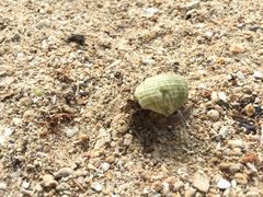 tara̕lӂ̒ւ̓eʐ^1