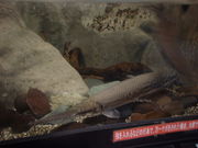 Ԃ񂳂̒}hЎ{݁u߃EXv̓eʐ^3