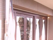 񂿂񂳂̃u[WF[@Q̓eʐ^1