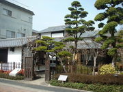 Ԃ񂳂̐ؔɋ̓eʐ^1