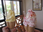 ҂҂낳̃rbO}}̓eʐ^1