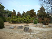 Ԃ񂳂̕ՏƉ@ivĎsj̓eʐ^2