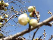 ڂ肳̌DPu~т̓eʐ^4