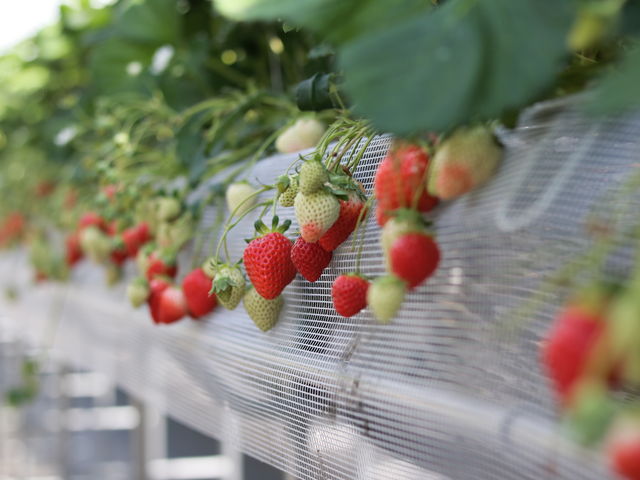 30̐Hו͒ZƍŏvĂ܂A30ŏ\łB_Еό_