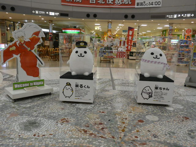 ��K�̔��X�B���X�͂Q�K�ɂ�����܂����B_�V����`