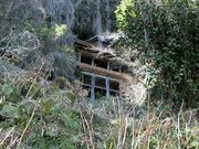 ނ炳񂳂̑鐲苴̓eʐ^2