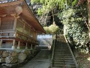 ނ炳񂳂̑鐲苴̓eʐ^3