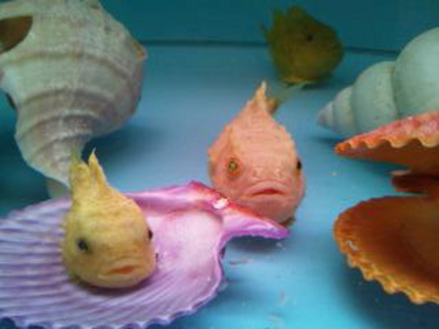 �I�z�[�c�N���X��_Caf?��restaurant 360