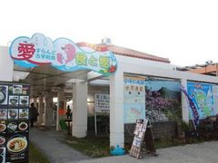 ���i����̌ÉF���ӂꂠ���L��ւ̓��e�ʐ^1