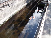 ˂񂳂̋PnˎtƉ~̓eʐ^5