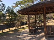 䂫Ȃ̏g͐~Βnigj̓eʐ^1