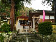 ˂񂳂̐^ؑ哰̓eʐ^2