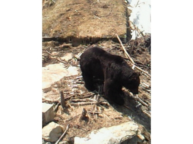 �x�A�}�E���e��_�T�z�����]�[�g�@�x�A�E�}�E���e��