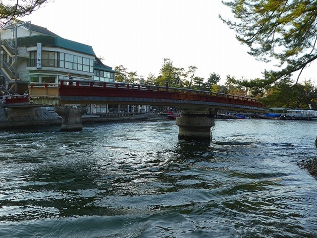 �V�����E���V���E�D���ʍs��_�V����