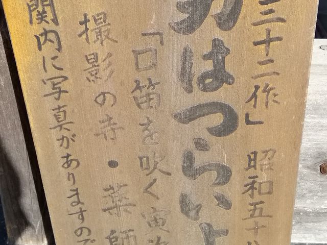 �ǂ����ƌ����Ă�����ɂ����ł��ˁB_��t�@