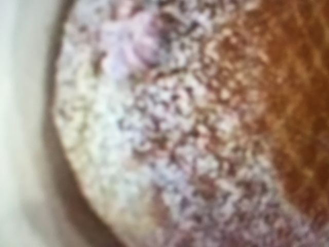 h[ic_~X^[h[icJRZgVbv