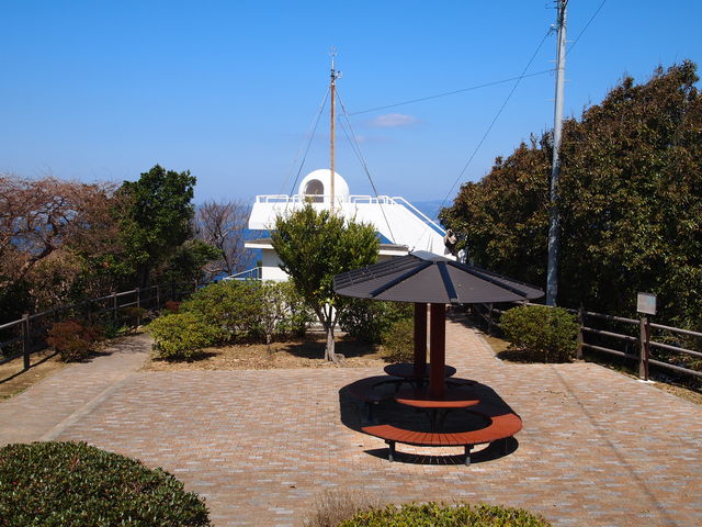 �˂�����񂳂�̈ɉ�����������̓��e�ʐ^5