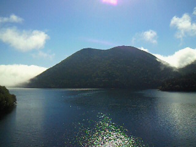 ɂǂ񂳂̑RʌΔȉ̓eʐ^2