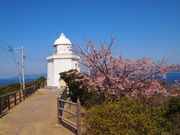 �˂�����񂳂�̈ɉ�������̓��e�ʐ^2