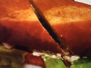 񂯂񂳂̃hg[R[q[Vbv É^[YʂX̓eʐ^1