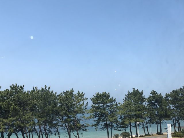 ホテルの前からです_休暇村志賀島