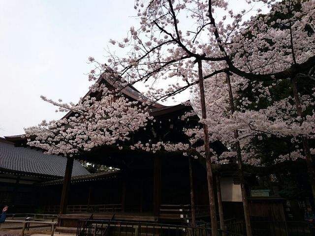 靖国神社 img_56768364291778_thumb.jpg