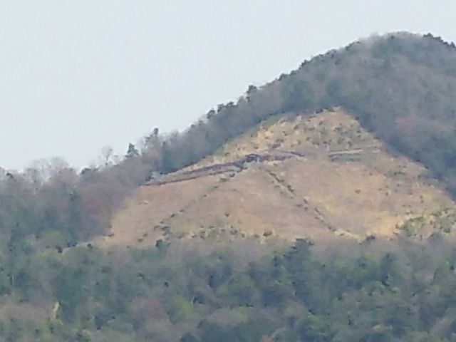 �啶���R�������܂��I_�@���_��