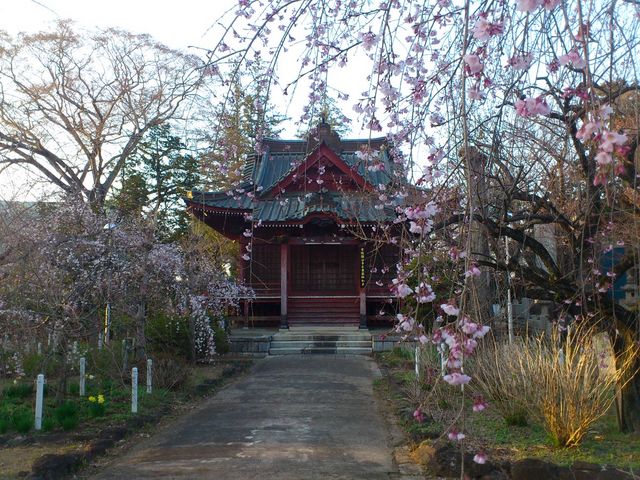 kiyomotȍ헤Ղ̓eʐ^4