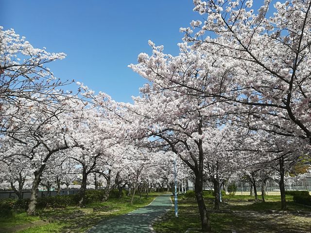 �єn���V�{����_�єn���V�{����