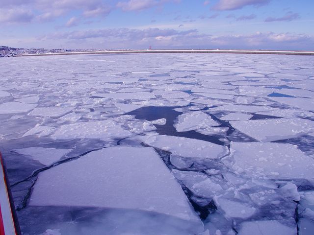 �D�̏ォ��_���X�ӕX�D �K�����R���U