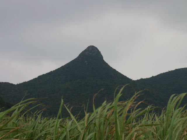 ���x�C_���x