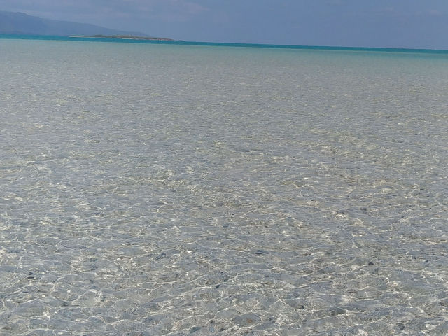 ���̓��ɂ�_����ف[���X