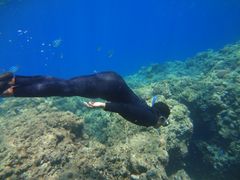 ꂨS.E.P.}Nuւ̓eʐ^1