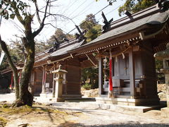 ˂񂳂̔颐_Ђւ̓eʐ^5