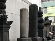 �߂̂�����̑��c�����̕�̓��e�ʐ^1