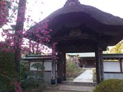 kiyomotȍ헤Ղ̓eʐ^2